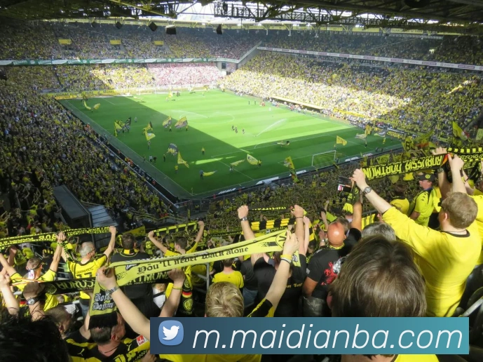 nba投注网站发展历程